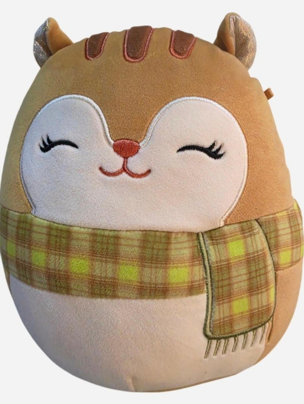 Squishmallows Erin The Squirrel Plush 8"
